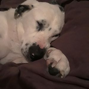 Meet your Posher, Sonja